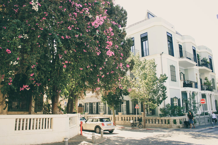 Tel Aviv Israel Asia Middle East ofpenguinsandelephants of penguins & elephants Rothschild Boulevard Bauhaus style houses
