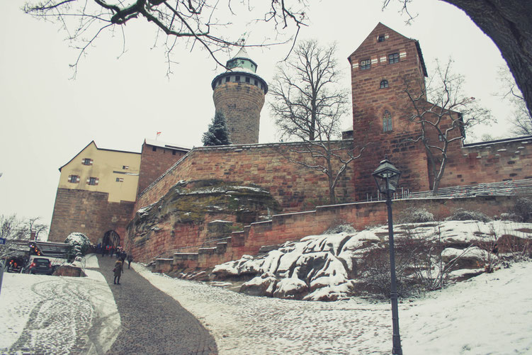 Nuremberg Germany ofpenguinsandelephants of penguins & elephants castle of Nuremberg