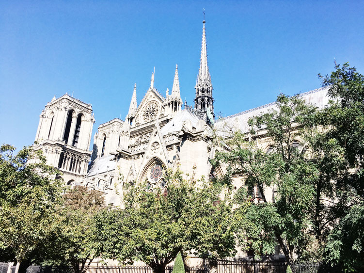 Paris France ofpenguinsandelephants of penguins & elephants Cathedral Notre Dame