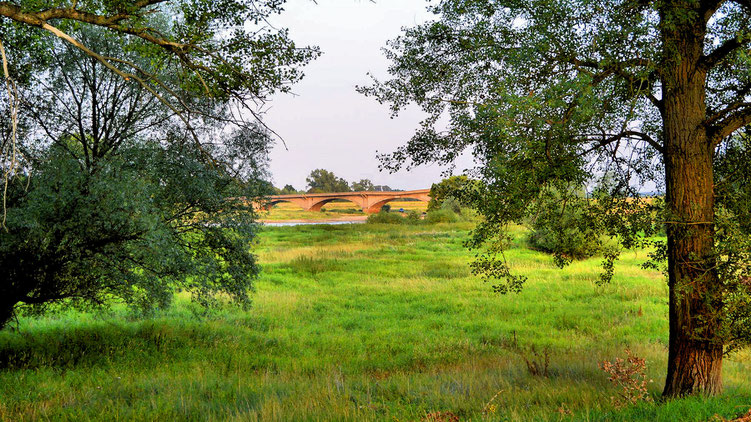 Blick zur alten Oderbrücke