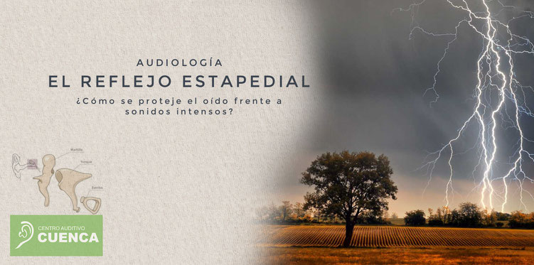 El reflejo estapedial como protector de los oídos frente al sonido intenso