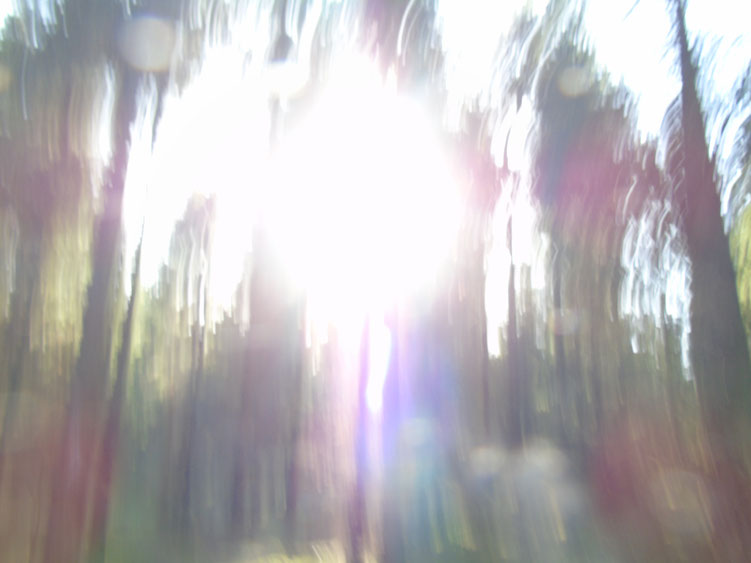 ...rattatazong... Quelle: www.lichtwesenfotografie.com