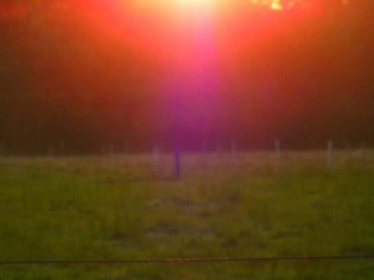 Lichtwesen, Quelle: www.lichtwesenfotografie.com
