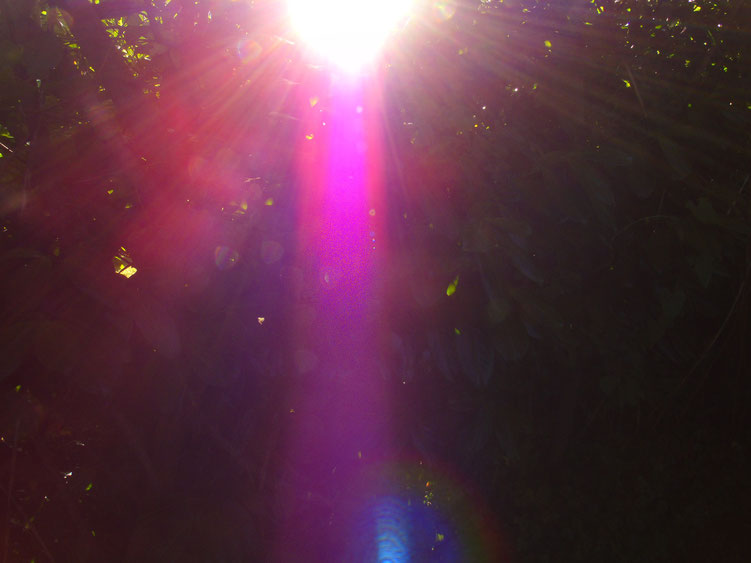 Lichtkanal in magentafarben, Quelle: www.lichtwesenfotografie.com