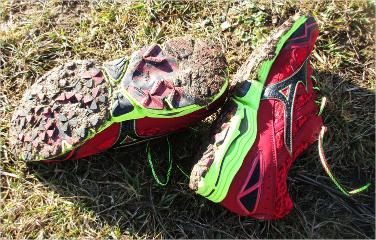 Ein rundum zuverlässiger Laufschuh fürs Gelände, jedoch weniger für Tempomacher geeignet.