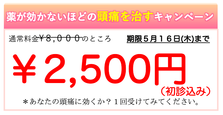 初回８０００円のところ特別キャンペーン２５００円