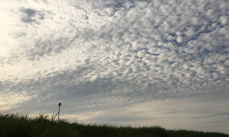 吉川市のうろこ雲
