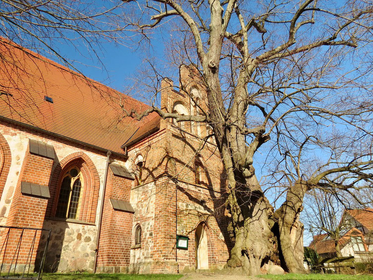 Stadtkirche Wesenberg, St. Marien Kirche, Kirche entdecken Mecklenburg