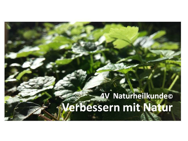 4V = verbessern