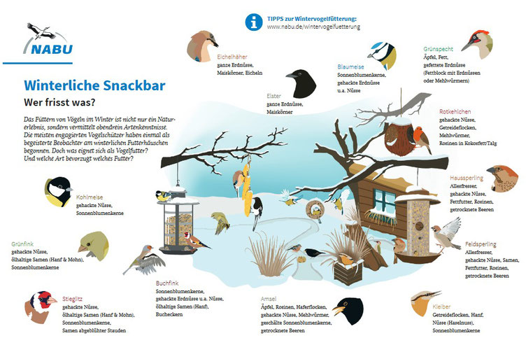 Graphik NABU Landesverband