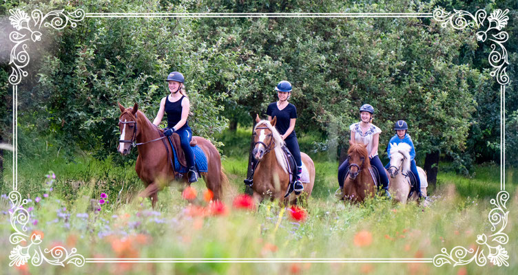 reitclub-kronberg1s Webseite!