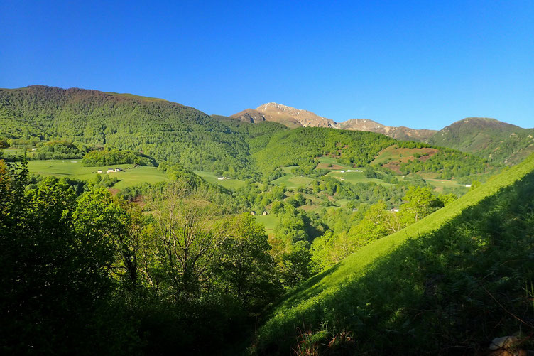 Après quelques centaines de mètres, vue sur le Pic d'Orhy.