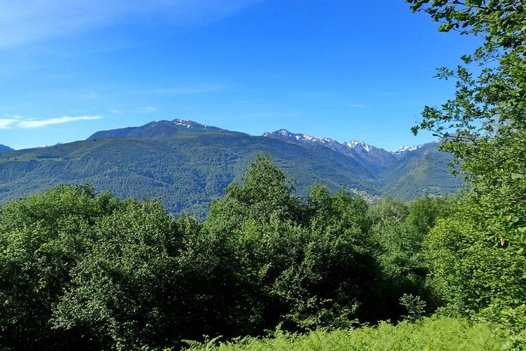 La sortie du bois n'est plus très loin. Vue sur le val d'Azun.