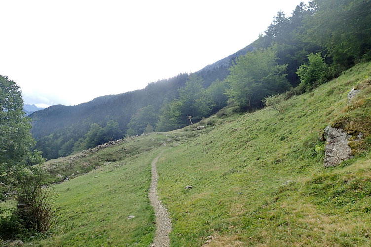 J'arrive au croisement du GR10. La puie semble se calmer...