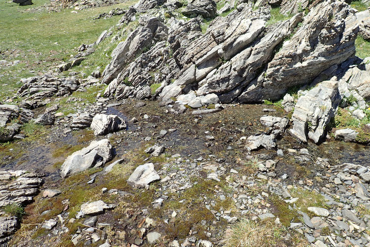 Voilà la source. Eau bien fraîche.