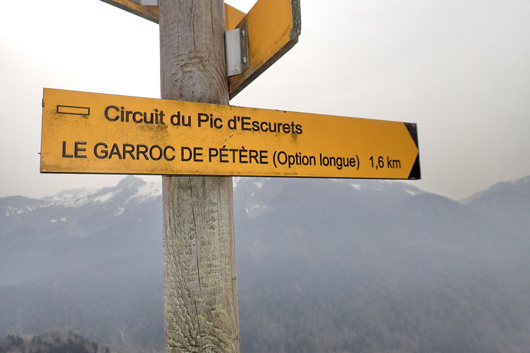 Arrivée au sentier principal. Puis je prends l'option longue pour soulager mes genoux...