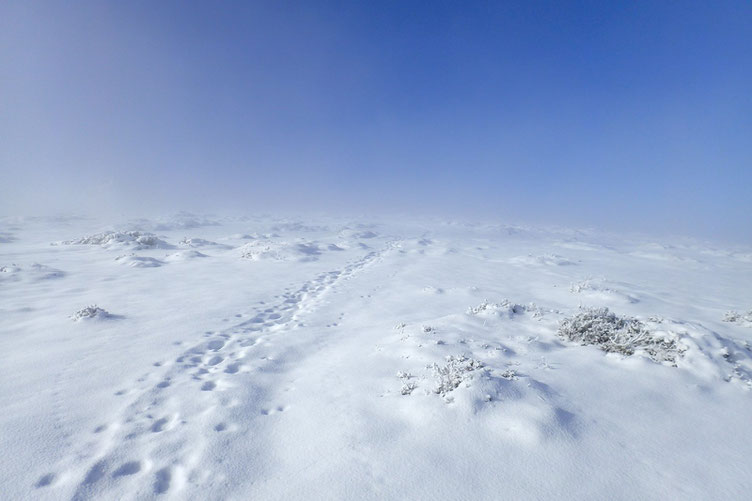 Optimiste de nature, j'ai pris l'option "montée au Cap d'Aout" comme prévu au départ. Et tout en progressant dans la montée, je pense que j'ai bien fait...