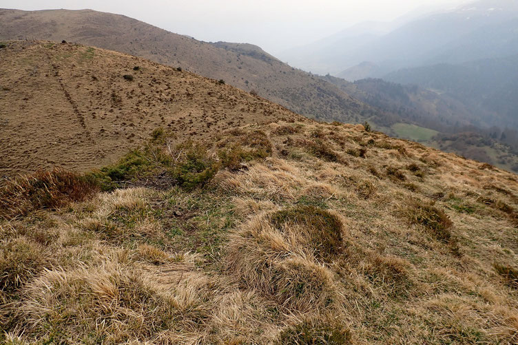 Vu les conditions, je ne m'attarde pas de trop et entame la descente.