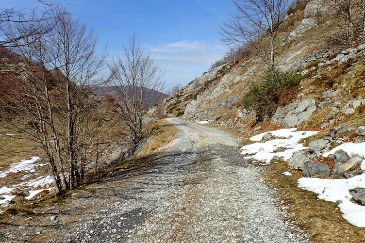 Ce n'est que vers 1300-1400 m que la neige disparaît.