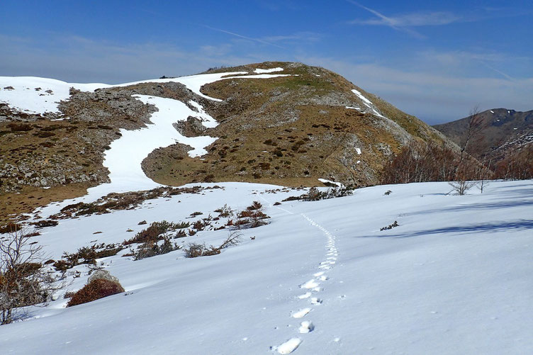 Et une montée dans la neige. Vue sur le Sommet de Sésérite.