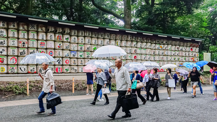 Tonneaux de saké, Meiji-Jingu, Tokyo