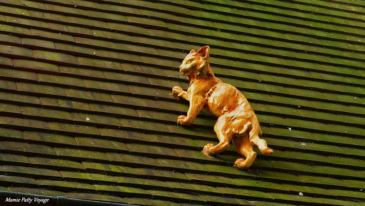 Un chat au Normandy Barrière, Deauville, 