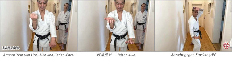 Karate Erlach, Shinji Akita-Sensei, Online Karate-Training