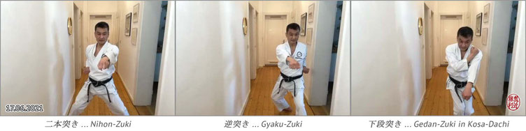 Karate Erlach, Shinji Akita-Sensei, Online Karate-Training