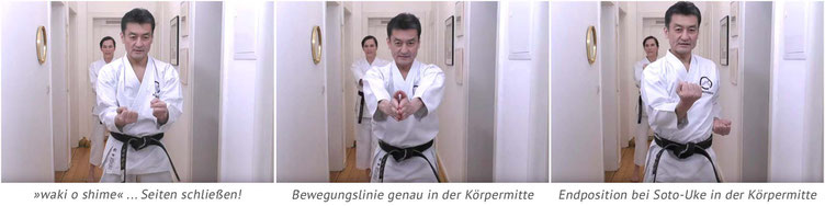 Karate Erlach, Shinji Akita-Sensei, Online Karate-Training