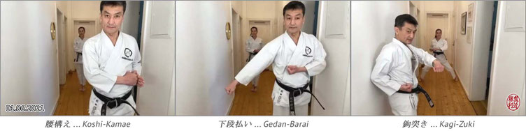 Karate Erlach, Shinji Akita-Sensei, Online Karate-Training