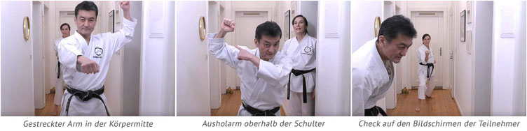 Karate Erlach, Shinji Akita-Sensei, Online Karate-Training