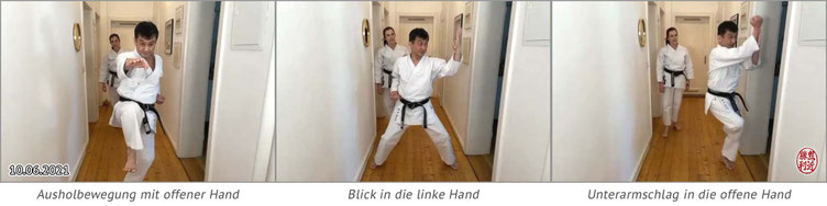 Karate Erlach, Shinji Akita-Sensei, Online Karate-Training