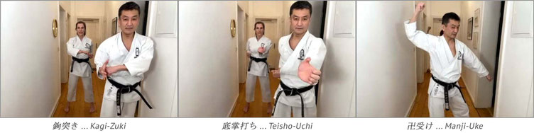 Karate Erlach, Shinji Akita-Sensei, Online Karate-Training