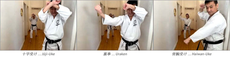 Karate Erlach, Shinji Akita-Sensei, Online Karate-Training
