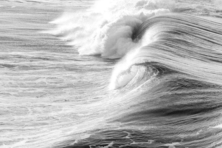 Gedanken Sinn Purpose Veränderungsprozesse Birgit Allerstorfer Teams Leadership Blog