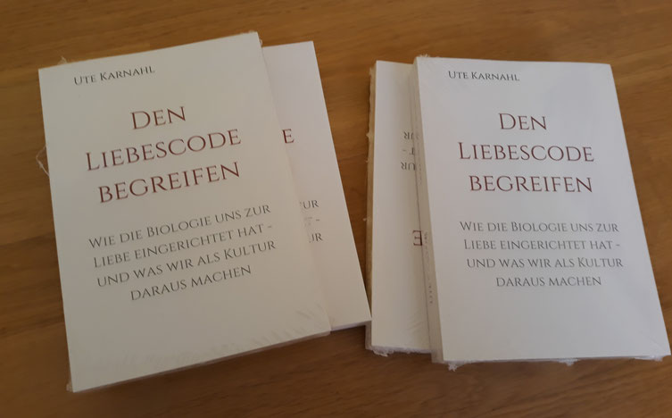 Rezension Buch Liebescode begreifen in systhema 3/2019