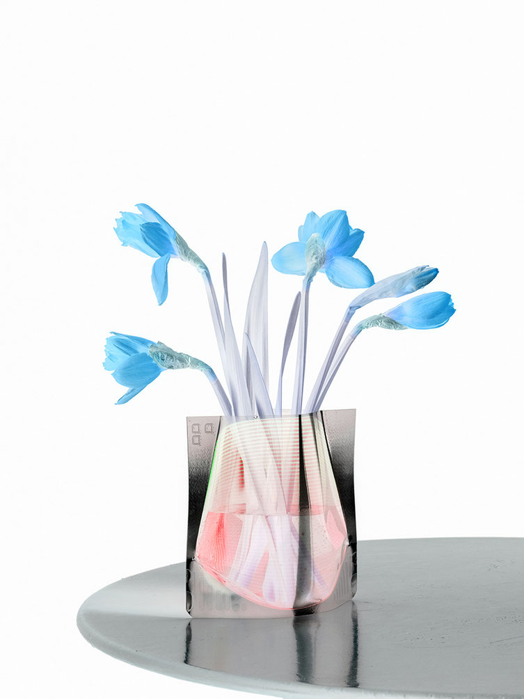 Abstraktes Blumenarrangement in Vase vor weißem Fond als Farbphoto