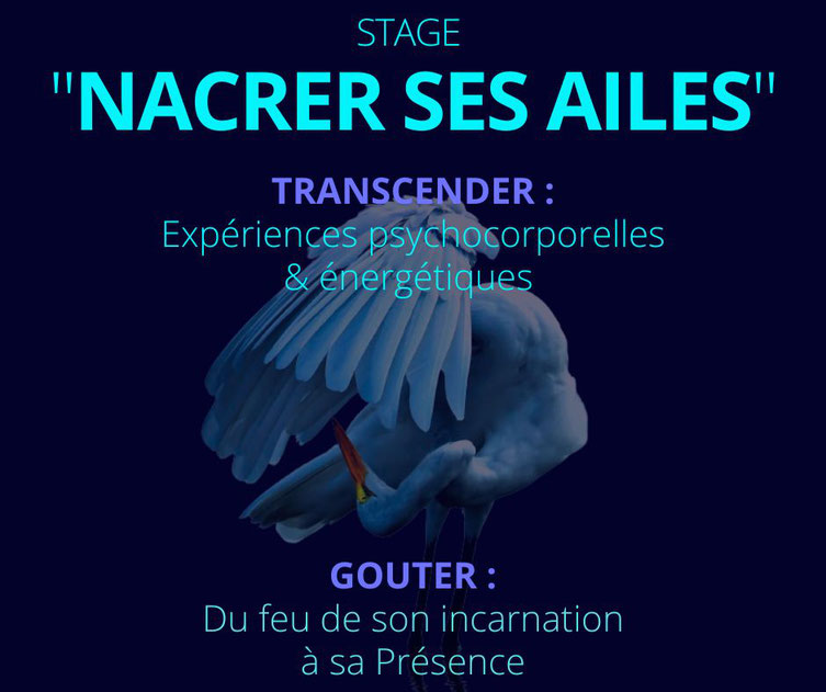 Stage de pratiques psychocorporelles, "nacrer ses ailes" : approches systémiques et chamaniques, inspirées par des chamans et praticiens, en haute-Vienne.