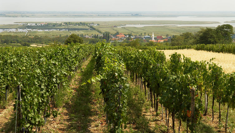 die Weite genießen