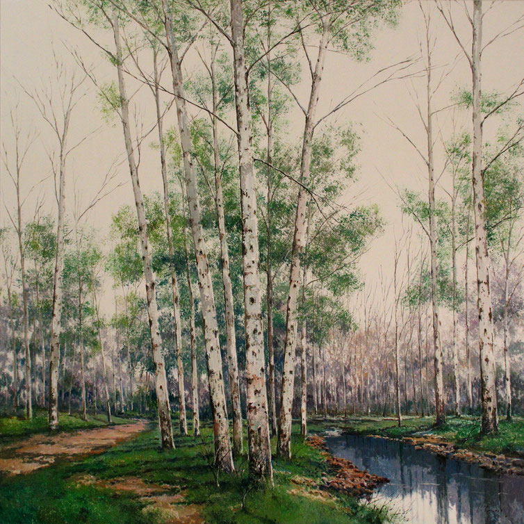 "Birkenwald", 100 cm x 100 cm