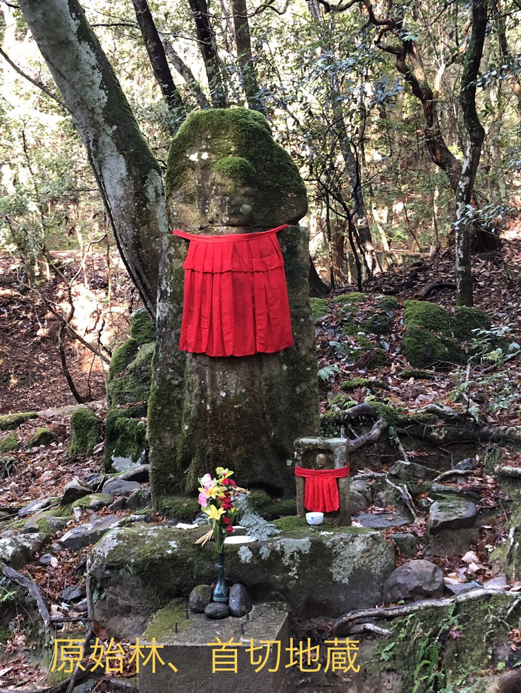 1月15日 奈良・春日原始林 ル・ベール山の会2020