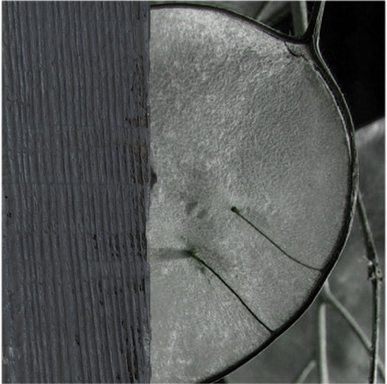 bois peint en gris foncé