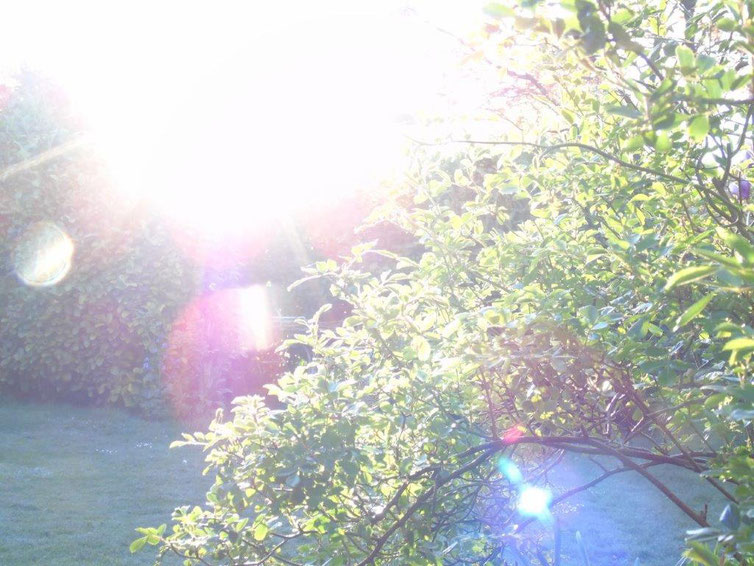 Ich bin dein Licht, Quelle; www.lichtwesenfotografie.com