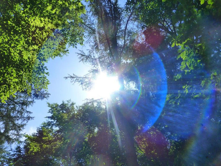 Ufo, Quelle: www.lichtwesenfotografie.com