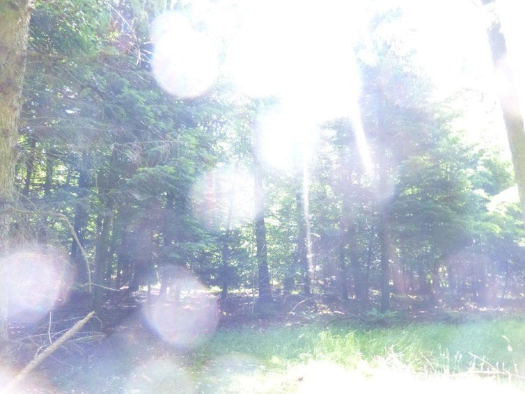 Weiße Energiekugeln, Quelle: www.lichtwesenfotografie.com