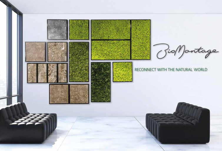 Musgo preservado y planta preservada. Diseño Biofílico al alcance de