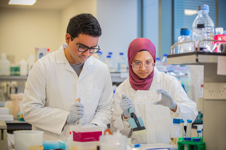 Deux scientifiques, un homme et une femme, analysent du Miel de Nouvelle-Zélande dans un laboratoire afin d'en définir son origine et sa définition