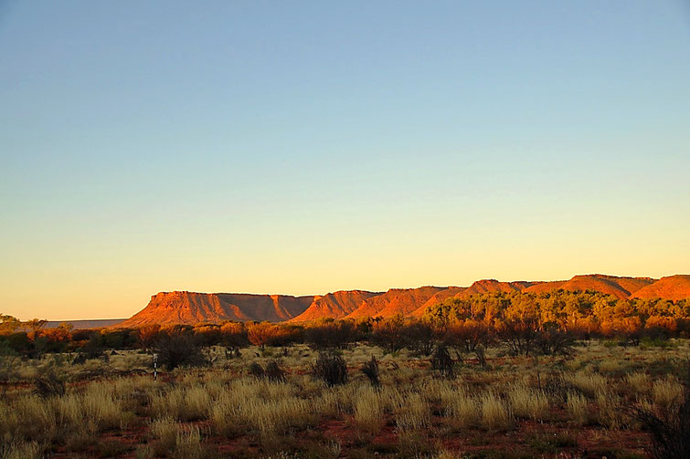 Kings Canyon Campground