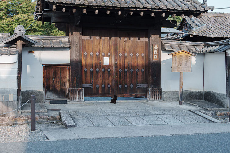 2024年に伺った際の写真。休館日の門前に黒猫が待っていてくれました。