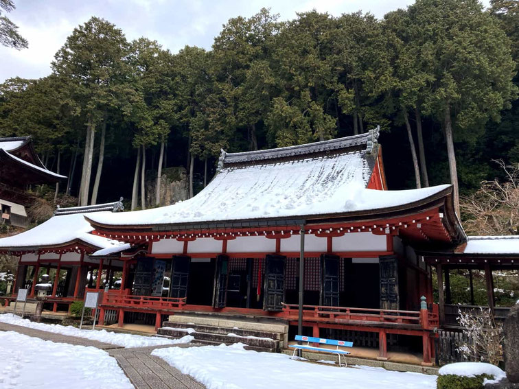 2026.1.28#Astro・Ajuga#西洋占星学#アジュガの星のコトバ#星とひとをつなぐコトバ